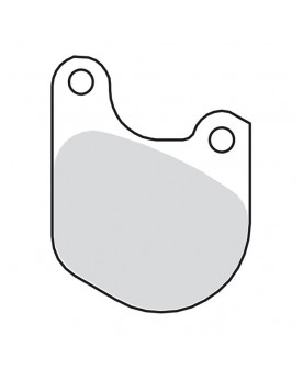 Plaquettes avant EBC Harley